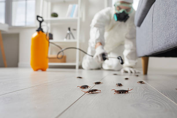 Post-Treatment Bed Bug Interceptor Monitoring in Superior